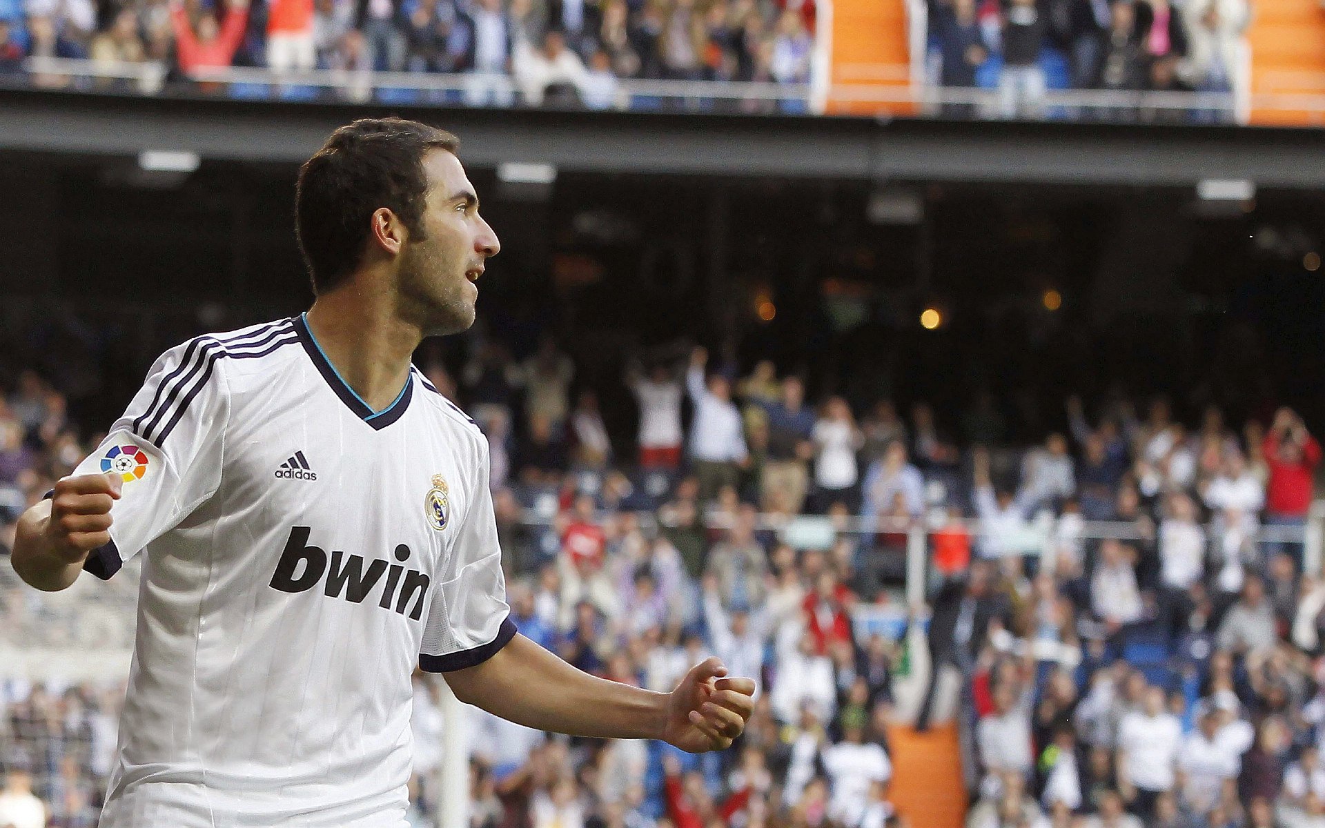 WRC粉丝狂欢：现场氛围与观赛体验，crew粉丝