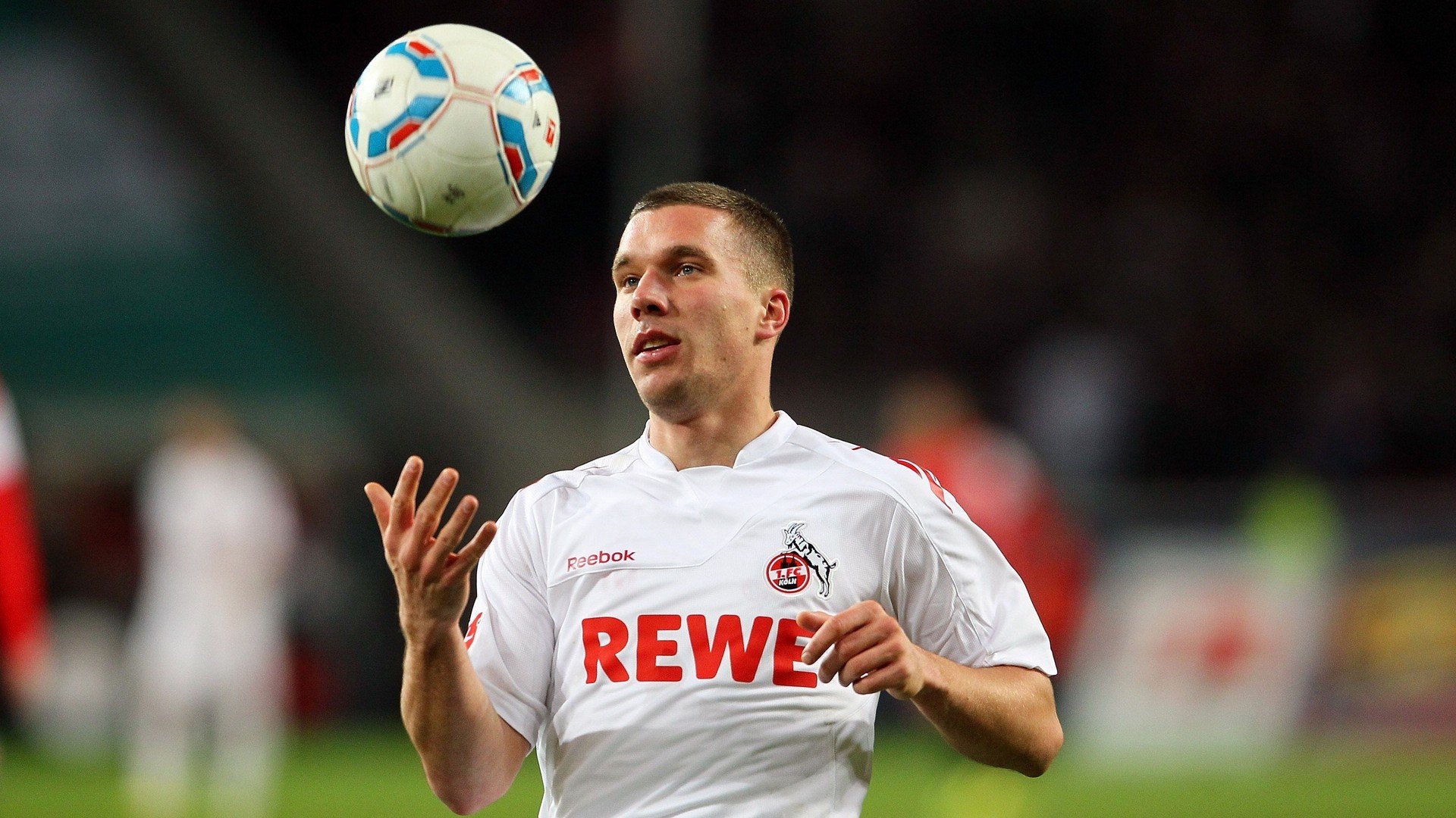 WRC观众故事：现场见证冠军诞生，wrc冠军一览表