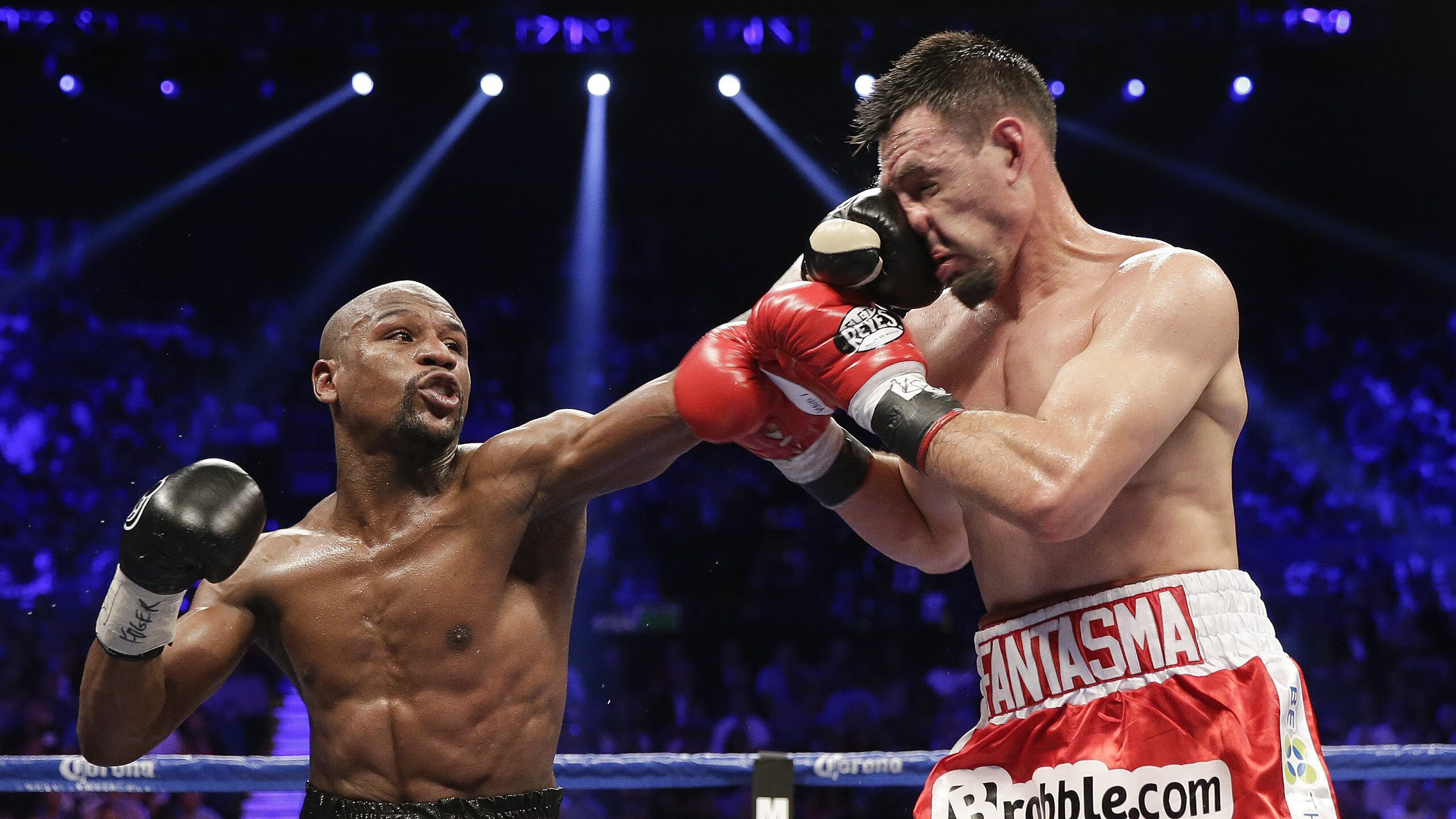 绿色创新:赛车材料向环境友好转型,绿色的赛车